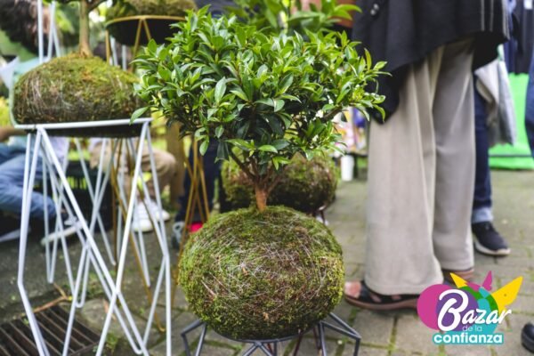 Mercado-Solidario-BazardelaConfianza-2022-72 Mercado-Solidario-BazardelaConfianza-2022-72