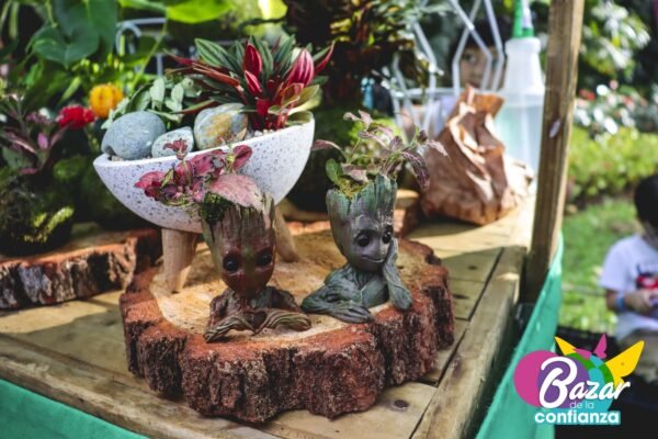 Mercado-Solidario-BazardelaConfianza-2022-73 Mercado-Solidario-BazardelaConfianza-2022-73