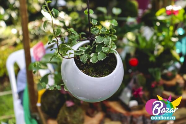 Mercado-Solidario-BazardelaConfianza-2022-76 Mercado-Solidario-BazardelaConfianza-2022-76