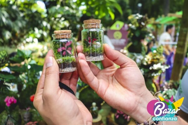 Mercado-Solidario-BazardelaConfianza-2022-81 Mercado-Solidario-BazardelaConfianza-2022-81