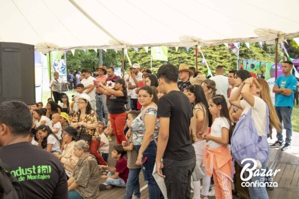 ARTES-VIVAS-BAZAR-DE-LA-CONFIANZA-IMG_3899 (36)