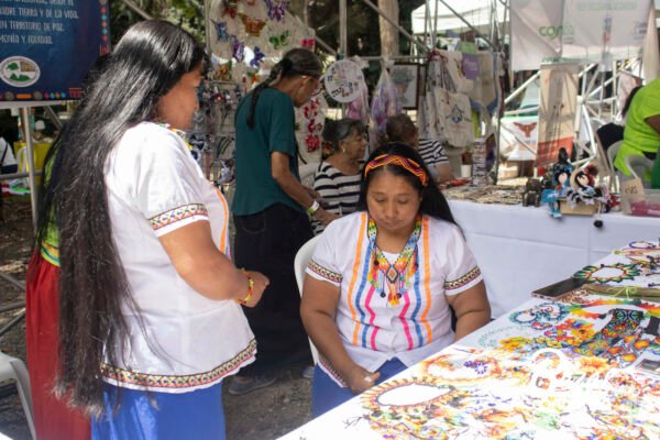 BAZAR-DE-LA-CONFIANZA-REDES-SOLIDARIAS-IMG_4247 (1) BAZAR-DE-LA-CONFIANZA-REDES-SOLIDARIAS-IMG_4247 (1)