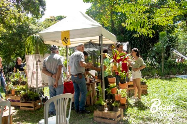 ECOLOGIA-DE-LO-COTIDIANO-IMG_3889 (76)