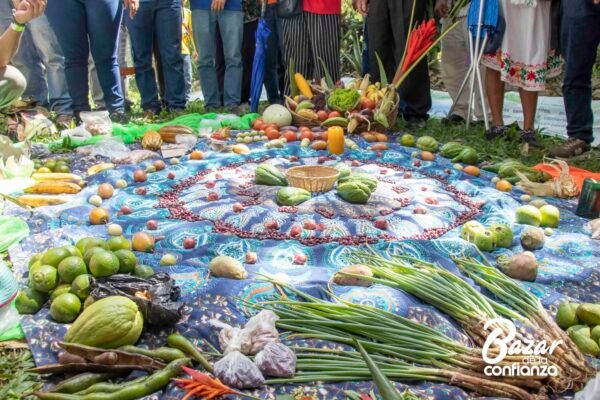 ECOLOGIA-DE-LO-COTIDIANO-IMG_3889 (79)