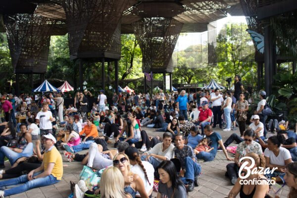 TARIMA-PRINCIPAL-BAZAR-DE-LA-CONFIANZA-IMG_4236 (11)