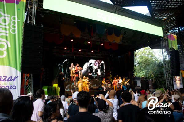 TARIMA-PRINCIPAL-BAZAR-DE-LA-CONFIANZA-IMG_4236 (70)