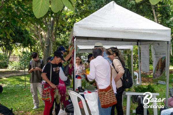 ECOLOGIA_DE_LO_COTIDIANO_BAZAR_DE_LA_CONFIANZA_MEDELLIN_CONFIAR1926 ECOLOGIA_DE_LO_COTIDIANO_BAZAR_DE_LA_CONFIANZA_MEDELLIN_CONFIAR1926