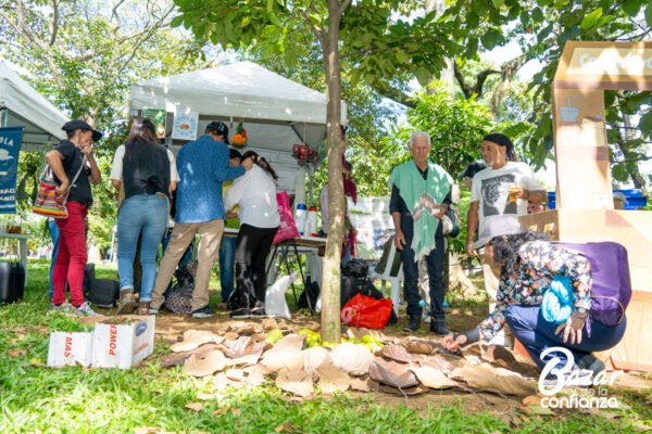ECOLOGIA_DE_LO_COTIDIANO_BAZAR_DE_LA_CONFIANZA_MEDELLIN_CONFIAR1930 ECOLOGIA_DE_LO_COTIDIANO_BAZAR_DE_LA_CONFIANZA_MEDELLIN_CONFIAR1930