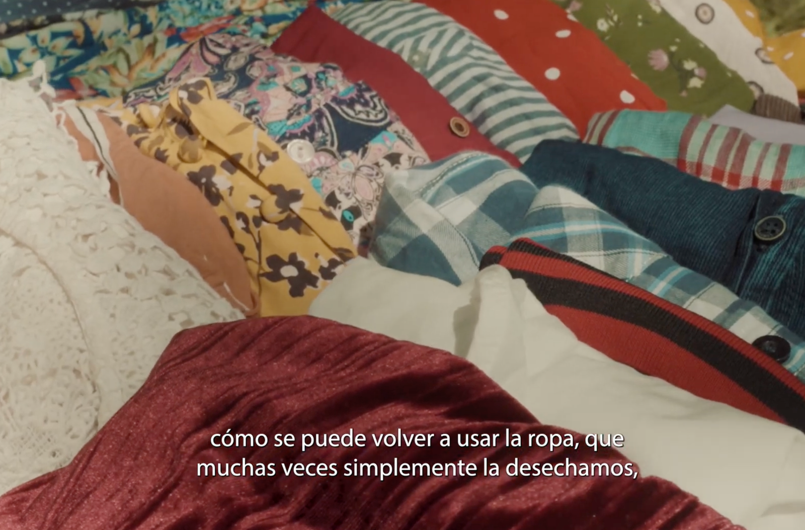 Apostarle al medio ambiente: una recompensa para la vida