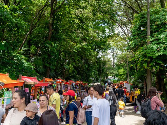 MERCADO_SOLIDARIO_BAZAR_DE_LA_CONFIANZA_MEDELLIN_CONFIAR2507 MERCADO_SOLIDARIO_BAZAR_DE_LA_CONFIANZA_MEDELLIN_CONFIAR2507