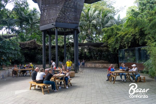 SABORES_DE_CONFIANZA_BAZAR_DE_LA_CONFIANZA_MEDELLIN_CONFIAR2693