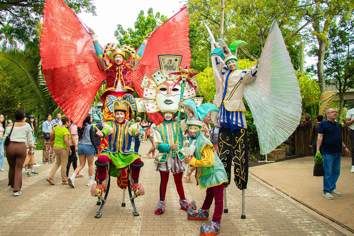 Mi primera vez en el bazar de la confianza